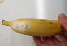 Фото - Покупательница испугалась, когда поняла, что в бананах могут завестись пауки