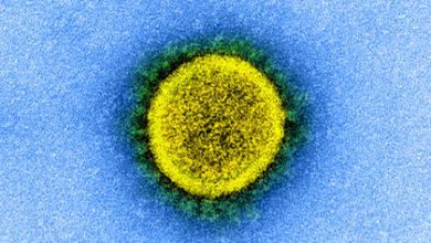 Фото - Раскрыты последствия от коронавируса для мозга