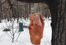 Фото - Развешанная на деревьях свинина испугала москвичей