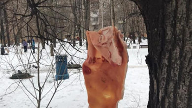 Фото - Развешанная на деревьях свинина испугала москвичей