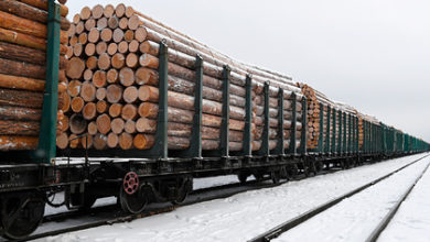 Фото - Российский лес застрял на пути в Китай
