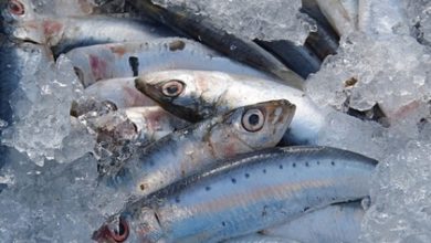 Фото - Самая дешевая рыба в России станет дороже