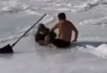 Фото - Старушка, оказавшаяся на замёрзшей реке, получила помощь от неравнодушного незнакомца