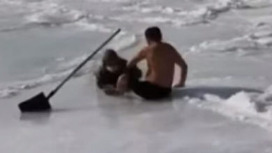 Фото - Старушка, оказавшаяся на замёрзшей реке, получила помощь от неравнодушного незнакомца