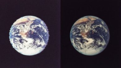 Фото - Ученые начали работу над цифровым двойником Земли