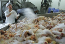 Фото - Украина вошла в тройку крупнейших поставщиков курятины в ЕС в 2020 году