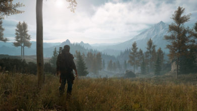 Фото - Утечка: работа над ПК-версией Days Gone началась не позднее февраля 2020 года