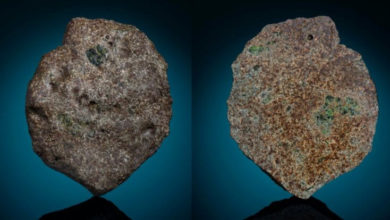 Фото - В Африке найден метеорит, который старше Земли. Это часть неродившейся планеты