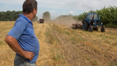 Фото - В Украине выдали доступных кредитов на 24 миллиарда