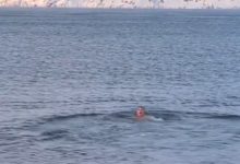Фото - Заболевший опоясывающим лишаем доктор Мясников бросился в Баренцево море