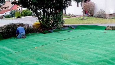 Фото - Заказав дёрн для сада, домовладелец получил большой зелёный ковёр