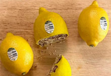 Фото - Женщина обманула пользователей сети с помощью трех лимонов