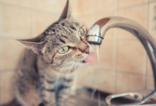 Фото - Цвет, вкус, осадок: как проверить качество воды в московской квартире