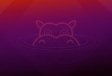 Фото - Canonical выпустила бета-версию новой Ubuntu 21.04 Hirsute Hippo