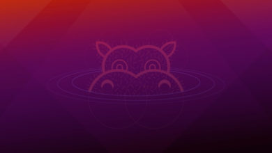 Фото - Canonical выпустила бета-версию новой Ubuntu 21.04 Hirsute Hippo