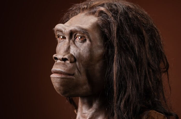 Кем были люди миллионы лет назад: веганами или мясоедами?