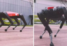 Фото - Китайская копия робота-собаки Boston Dynamics стоит в 30 раз дешевле. В чем подвох?