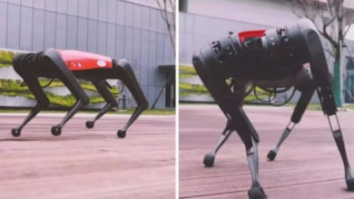 Фото - Китайская копия робота-собаки Boston Dynamics стоит в 30 раз дешевле. В чем подвох?