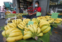 Фото - Мир предупредили о полном исчезновении бананов