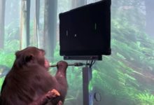 Фото - Neuralink впервые показала чипированную обезьяну. Она управляет компьютером силой мысли