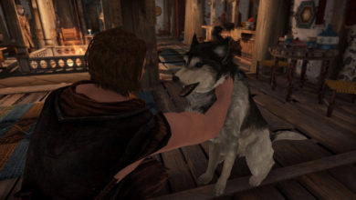 Фото - Новый мод для The Elder Scrolls V: Skyrim наконец-то дал игрокам гладить собак
