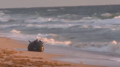Фото - Патрулируя пляж, полицейский обнаружил морскую мину