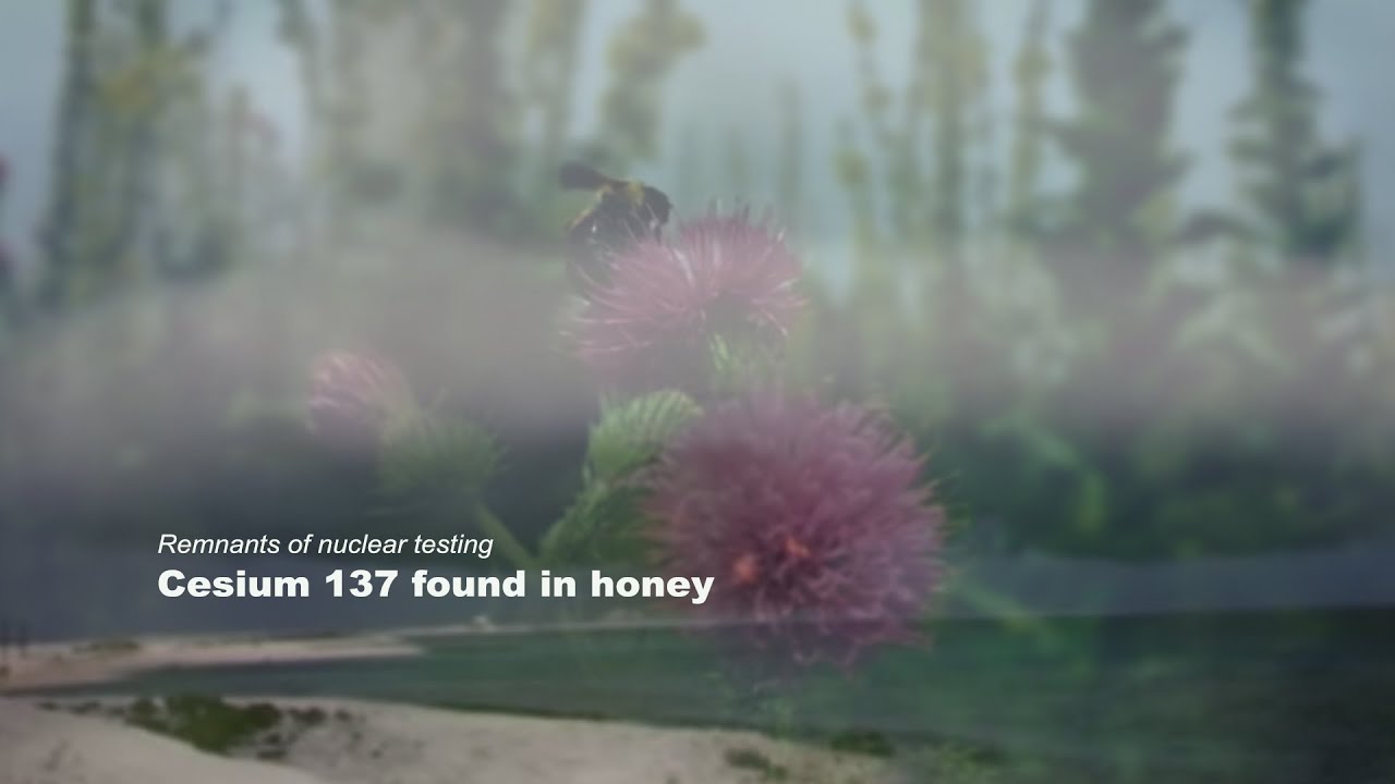 Почему мёд из США содержит в себе радиоактивные вещества?