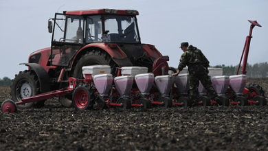Фото - Путин обвинил в проблемах фермеров бюрократию