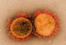 Фото - Раскрыта опасность бразильского штамма коронавируса