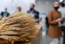 Фото - Российскую пшеницу перестали закупать