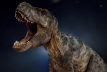 Фото - Сколько всего опасных динозавров жило на Земле за всю историю?