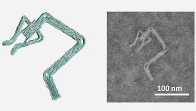 Фото - Создан простой способ конструировать сложных ДНК-роботов