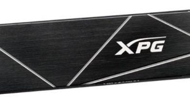 Фото - SSD-накопители XPG Gammix S70 Blade оснащены тонкими радиаторами