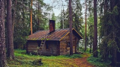 Фото - В Финляндии пустуют более 60 тыс. сельских домов