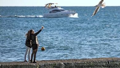 Фото - В России захотели восстановить сообщение между Сочи и соседней страной