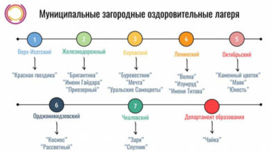 Фото - Всё о записи в детские летние оздоровительные лагеря 2021. Действительно, всё!