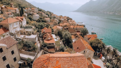 Фото - Вышел новый видеосюжет о гражданстве Черногории 