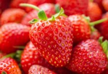 Фото - Вкусная ягода, снижающая риск развития рака и атеросклероза