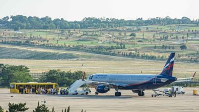 Фото - «Аэрофлот» приступит к выполнению рейсов Санкт-Петербург – Геленджик