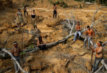 Фото - Бедным народам предложили доплачивать за жизнь в лесу