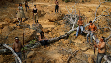 Фото - Бедным народам предложили доплачивать за жизнь в лесу
