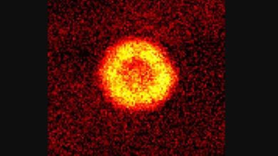 Фото - Физики зафиксировали тысячи молекул в одном квантовом состоянии