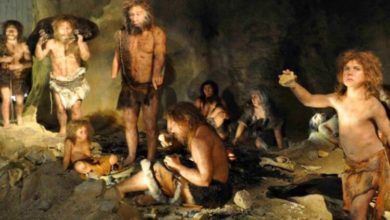 Фото - Как древние люди придумали слова и научились разговаривать?
