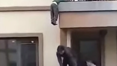 Фото - Малыш, свисавший с балкона, не упал благодаря неравнодушному мужчине
