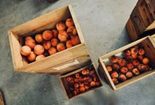 Фото - Мясников назвал смертельно опасные для детей летние фрукты