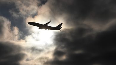 Фото - Пассажирский самолет совершил экстренную посадку в Москве из-за неисправности