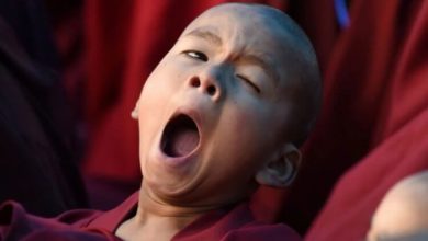 Фото - Почему люди зевают? Есть несколько интересных теорий