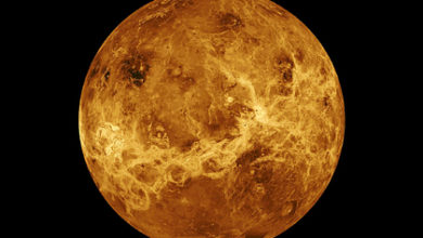 Фото - «Роскосмос» выделит 318 миллионов рублей на исследование Венеры