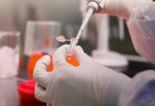 Фото - Ученые признали возможность утечки коронавируса из лаборатории