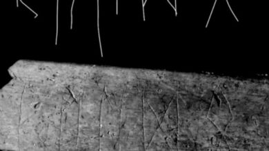 Фото - В Чехии найдена древняя кость с загадочными надписями. Что это такое?